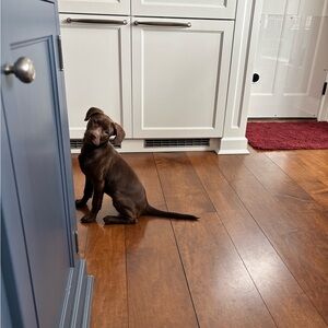 Meet your Posher, Kate